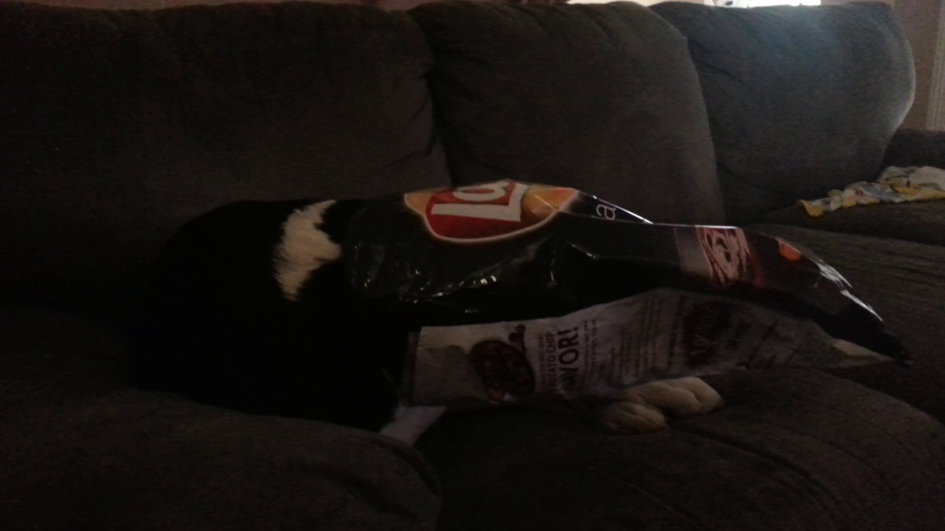 Lewis Eating Chips